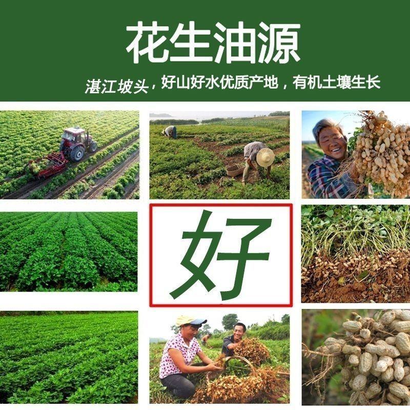 正品广东纯正花生油农家自榨整箱批发家用散装古法炒制压榨食