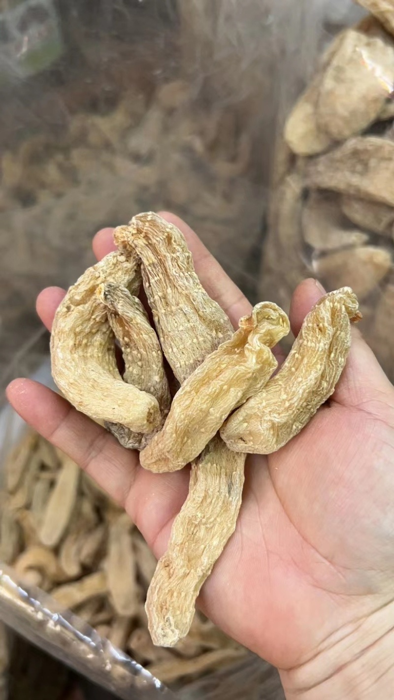 云南天麻黄天麻天麻仿野生天麻小天麻大货批发