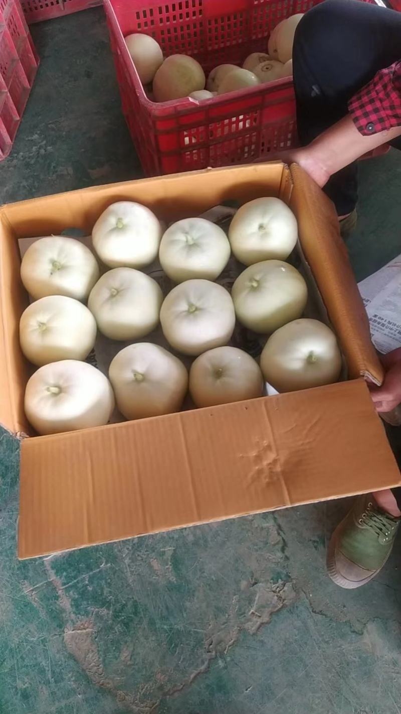 香瓜，西葫芦，青萝卜，心里美