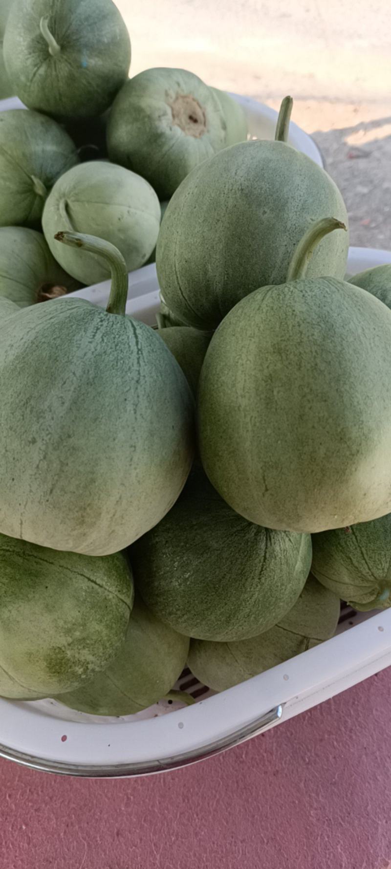 头茬刚开园绿宝石甜瓜，绿宝脆甜