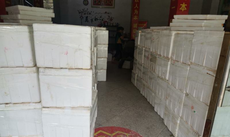 新鲜去心白莲子原产地基地直发一件代发（非干货）