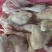 大肉食鸡带肝10公斤8只