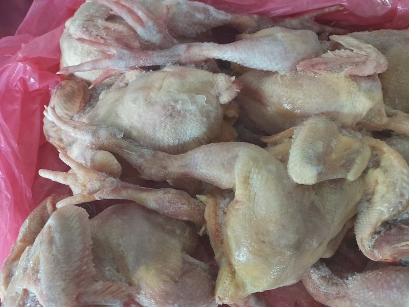 大肉食鸡带肝10公斤8只
