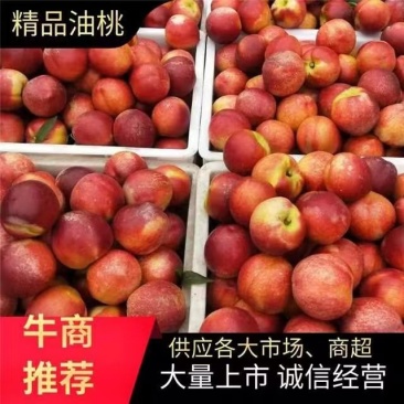 精品油桃，48油桃，突围毛桃大量上市口感脆甜！货源充足！
