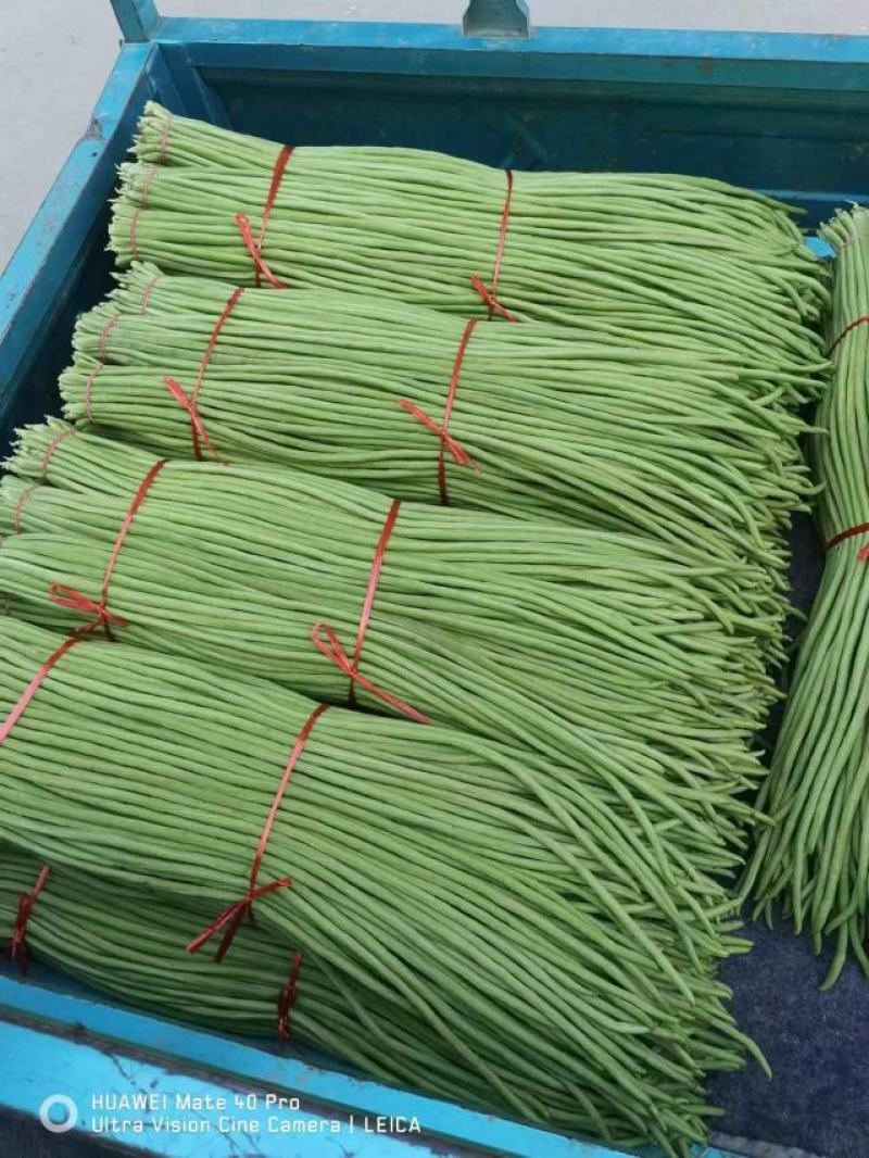 农家豆角，长豆角上市，头茬豆角，当天采摘当天发货