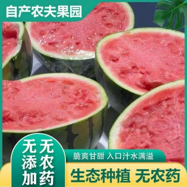【推荐】湖南精品麒『无籽美都西瓜代办甜度高瓜型好鲜货供应