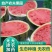 【推荐】湖南精品麒『无籽美都西瓜代办甜度高瓜型好鲜货供应