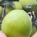 华硕苹果