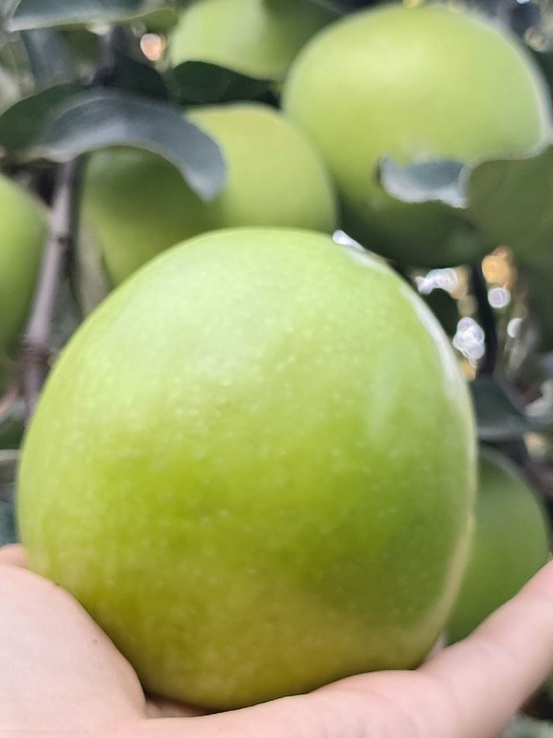 华硕苹果