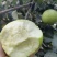 华硕苹果