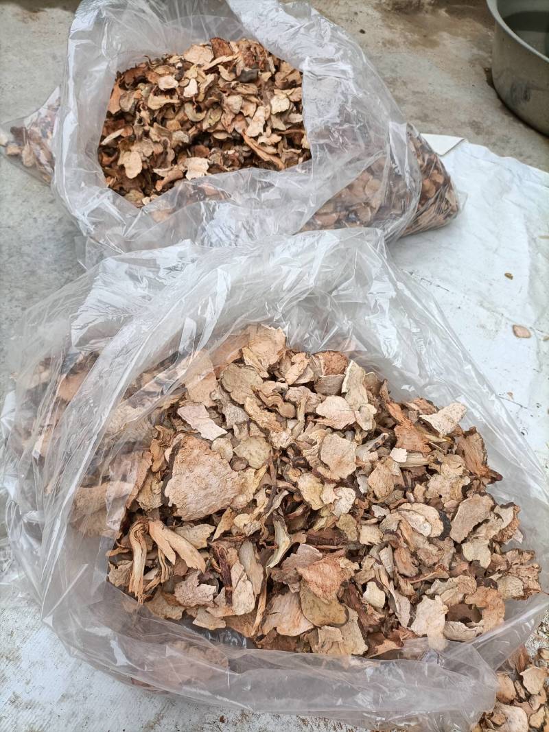 何首乌，一首货原，品质保证量大从优