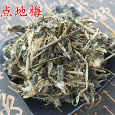 点地梅喉咙草正品保证质量15天无理由退货退款