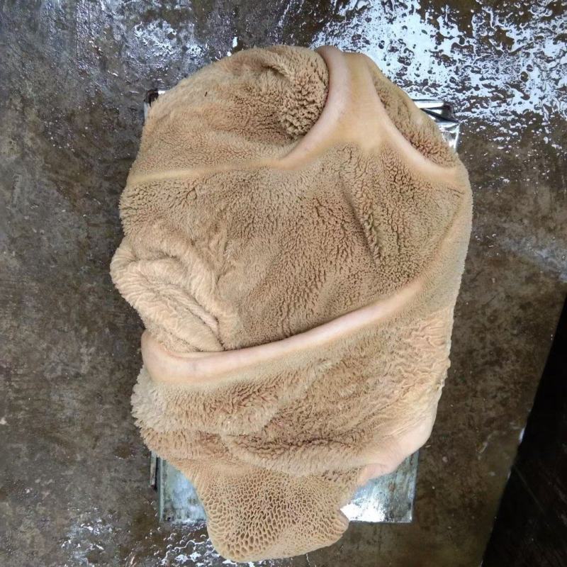新鲜牛肚