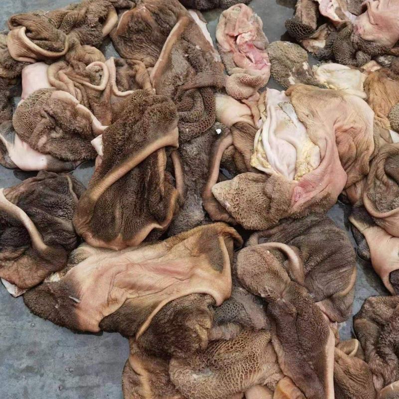 新鲜牛肚