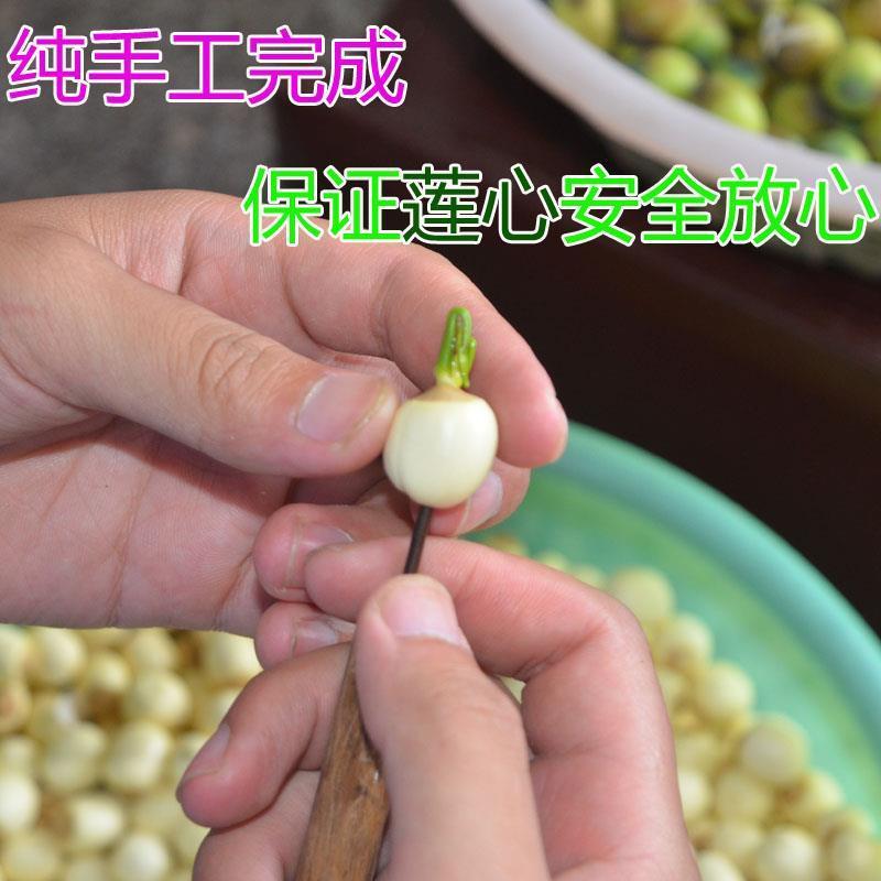 莲子心茶泡水正品莲子芯干货中药材莲芯天然去火花茶