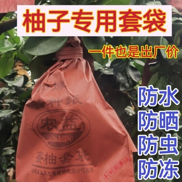 柚子专用套袋双层三层加厚蜜柚三红柚沙田柚早熟防虫果袋