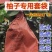 柚子专用套袋双层三层加厚蜜柚三红柚沙田柚早熟防虫果袋