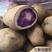 贵州乌洋芋，产地直发质量保证，欢迎采购诚信为本顾客至上！