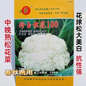 珍玉松花100花菜种子春秋两用中晚熟松花菜种子花球松大白