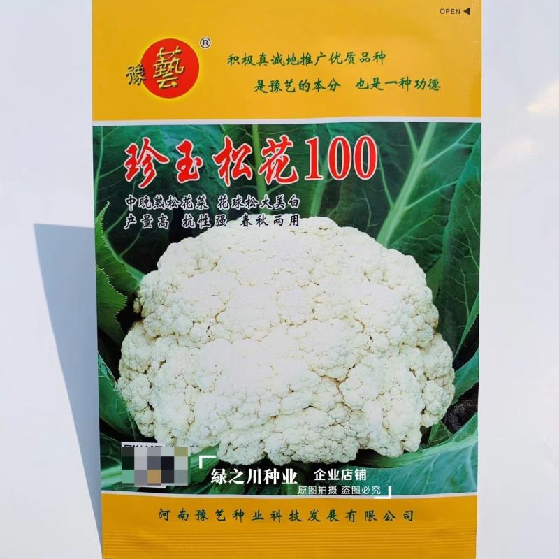 珍玉松花100花菜种子春秋两用中晚熟松花菜种子花球松大白