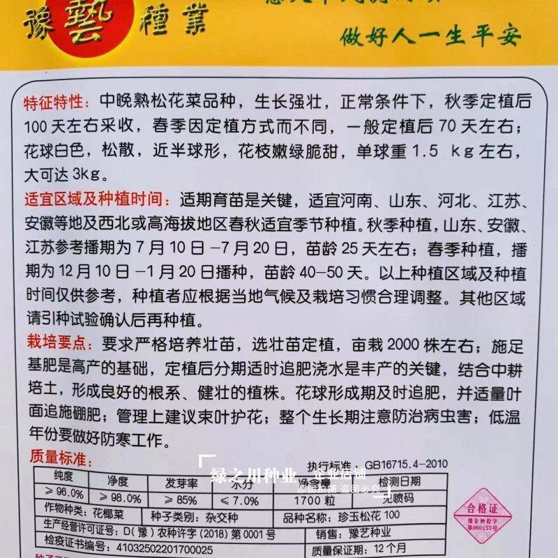 珍玉松花100花菜种子春秋两用中晚熟松花菜种子花球松大白