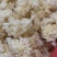 食用菌之都产地直销无根小银耳椴木小银耳银耳花白木耳易出胶