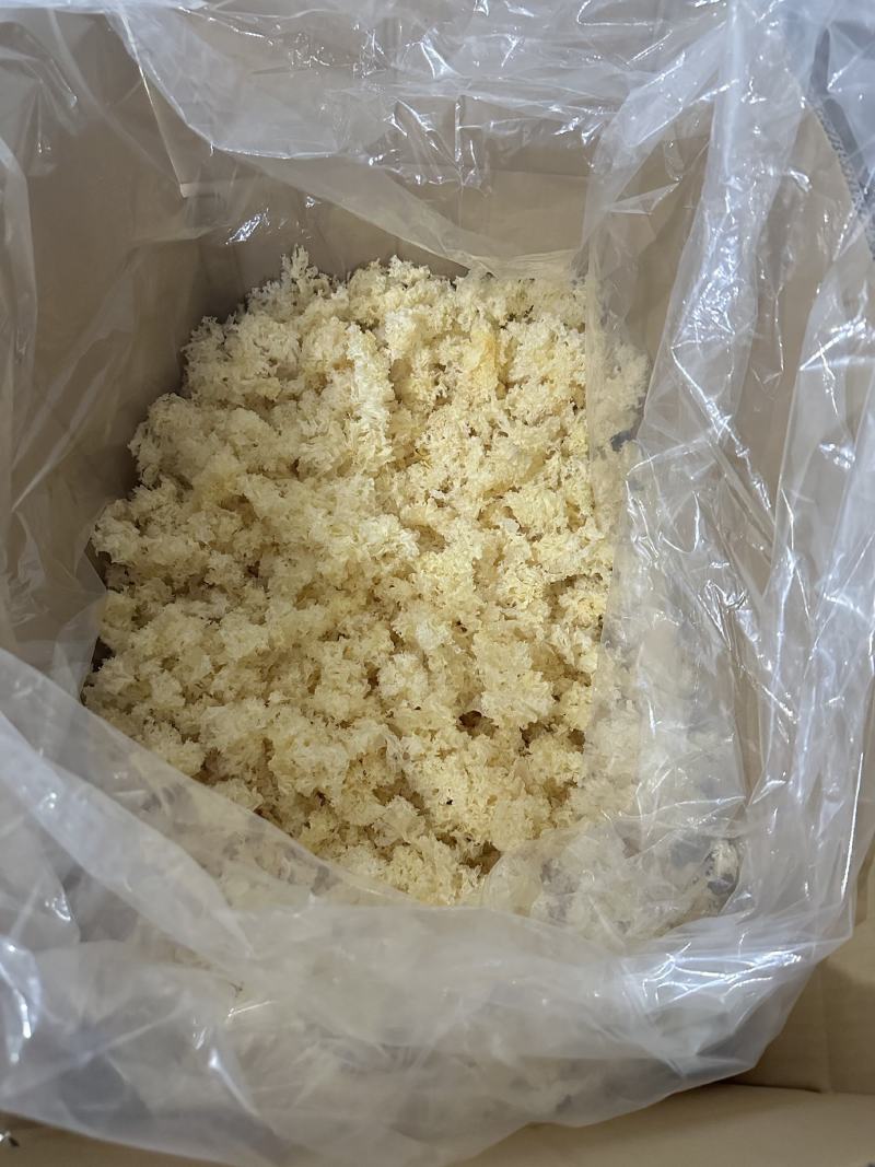 食用菌之都产地直销无根小银耳椴木小银耳银耳花白木耳易出胶