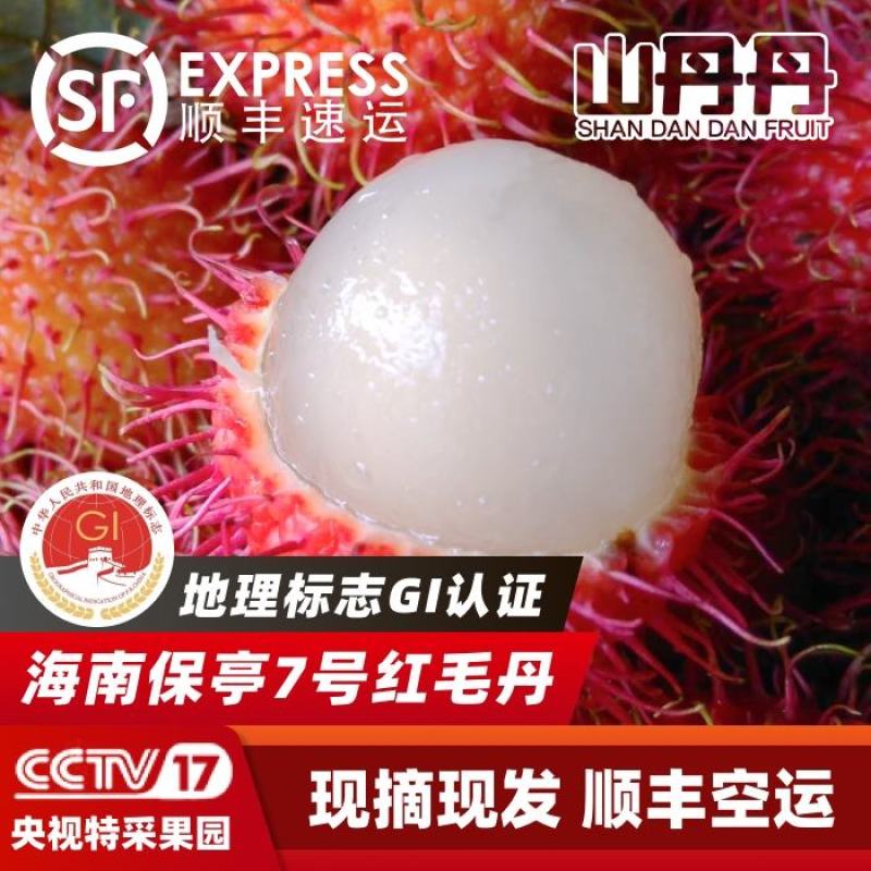 海南红毛丹/海南保亭红毛丹7号果/红毛丹/顺丰空运包邮