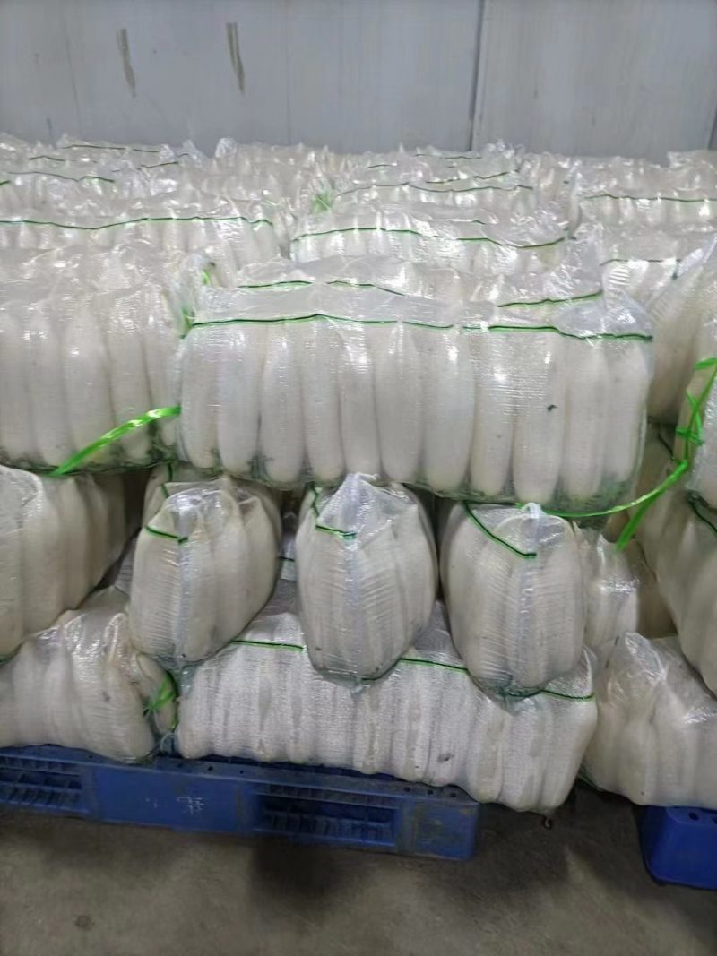 白萝卜，高山精品，大量有货，价格优惠，欢迎大家咨询订购！