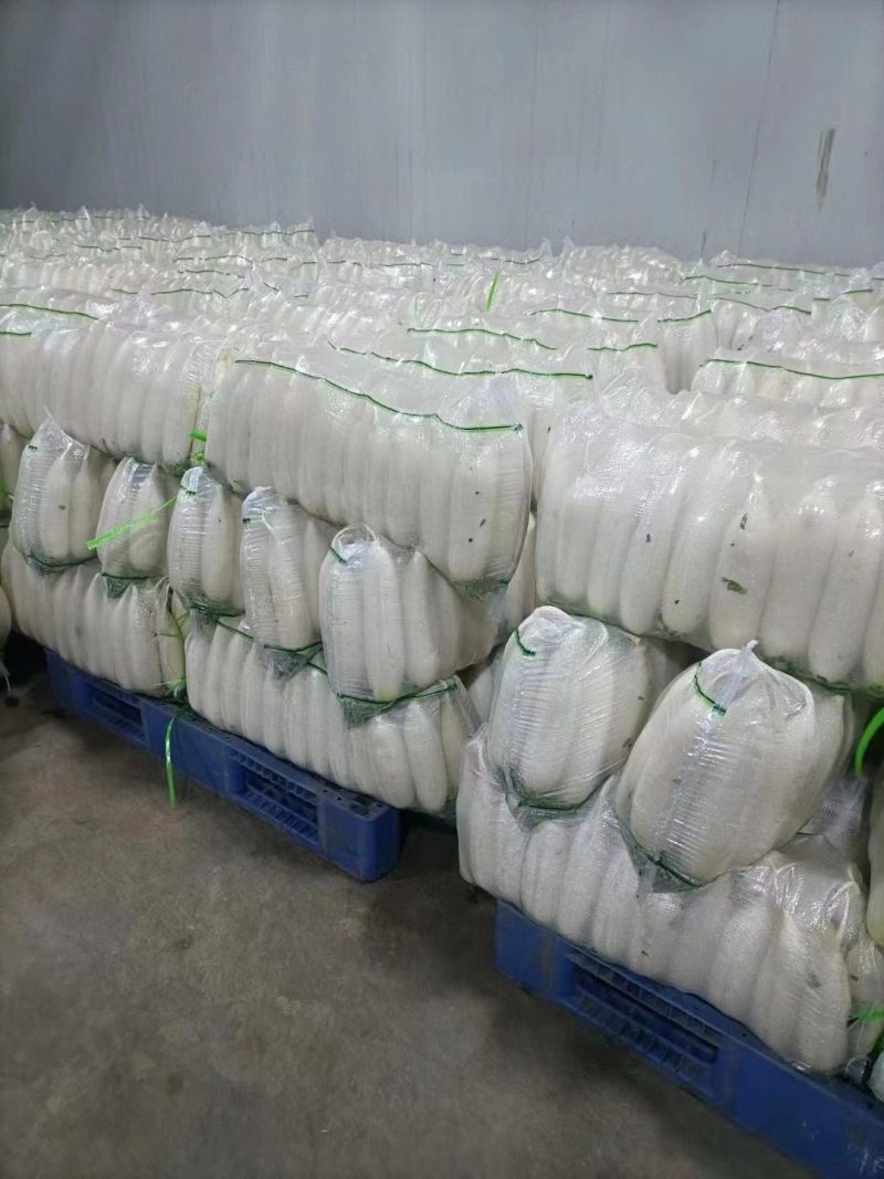 白萝卜，高山精品，大量有货，价格优惠，欢迎大家咨询订购！