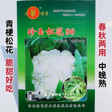 珍玉松花90天青梗松花菜种子脆甜好吃春秋两用中晚熟品种