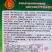 珍玉松花90天青梗松花菜种子脆甜好吃春秋两用中晚熟品种