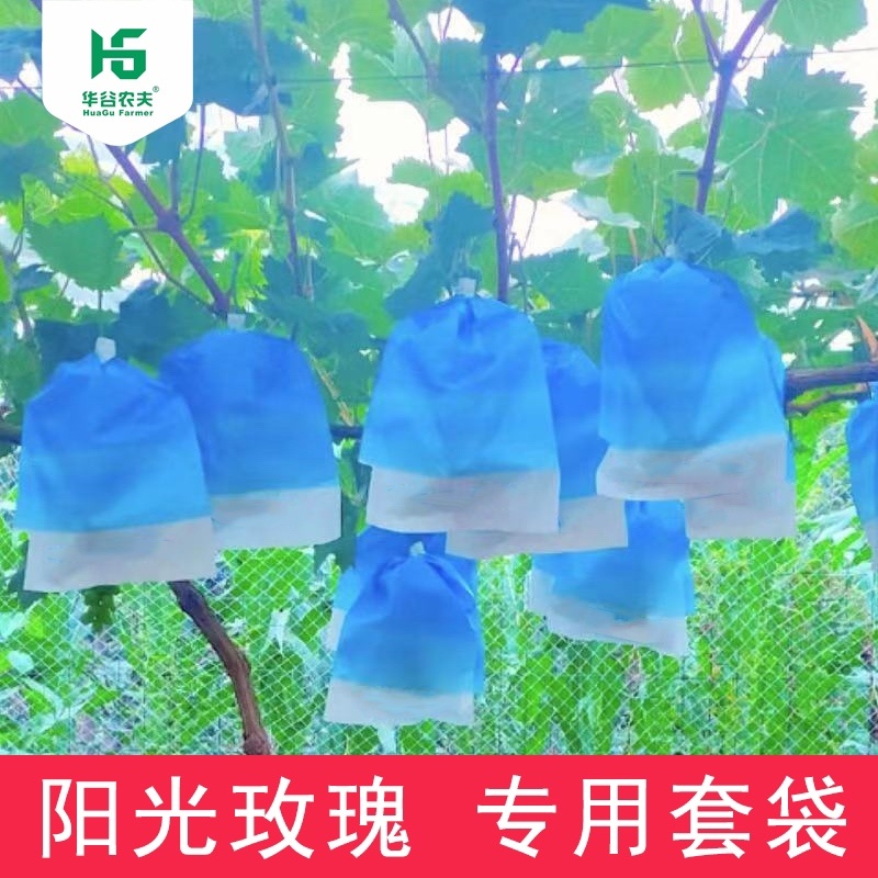 【厂家直供】葡萄套袋纯木浆全纸袋高抗水防虫防雨防日灼
