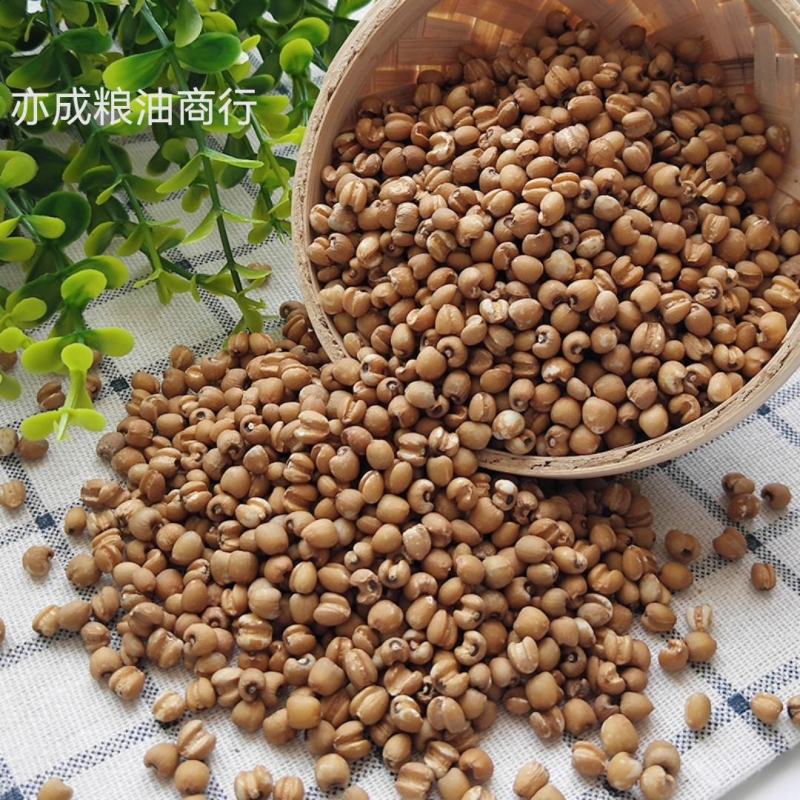红薏仁批发生薏仁米贵州兴仁苡仁五谷杂粮生薏米