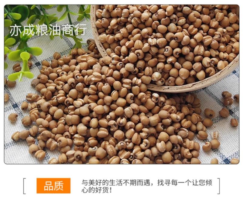 红薏仁批发生薏仁米贵州兴仁苡仁五谷杂粮生薏米