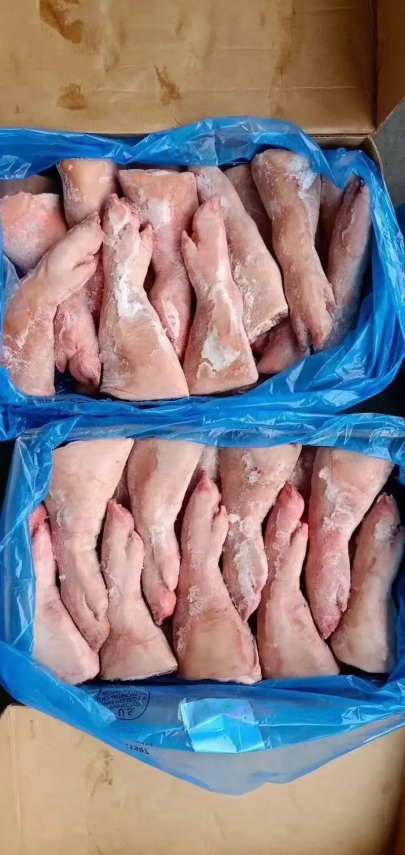 前后手脚踭，精品猪蹄，大量上市规格齐全，欢迎采购合作