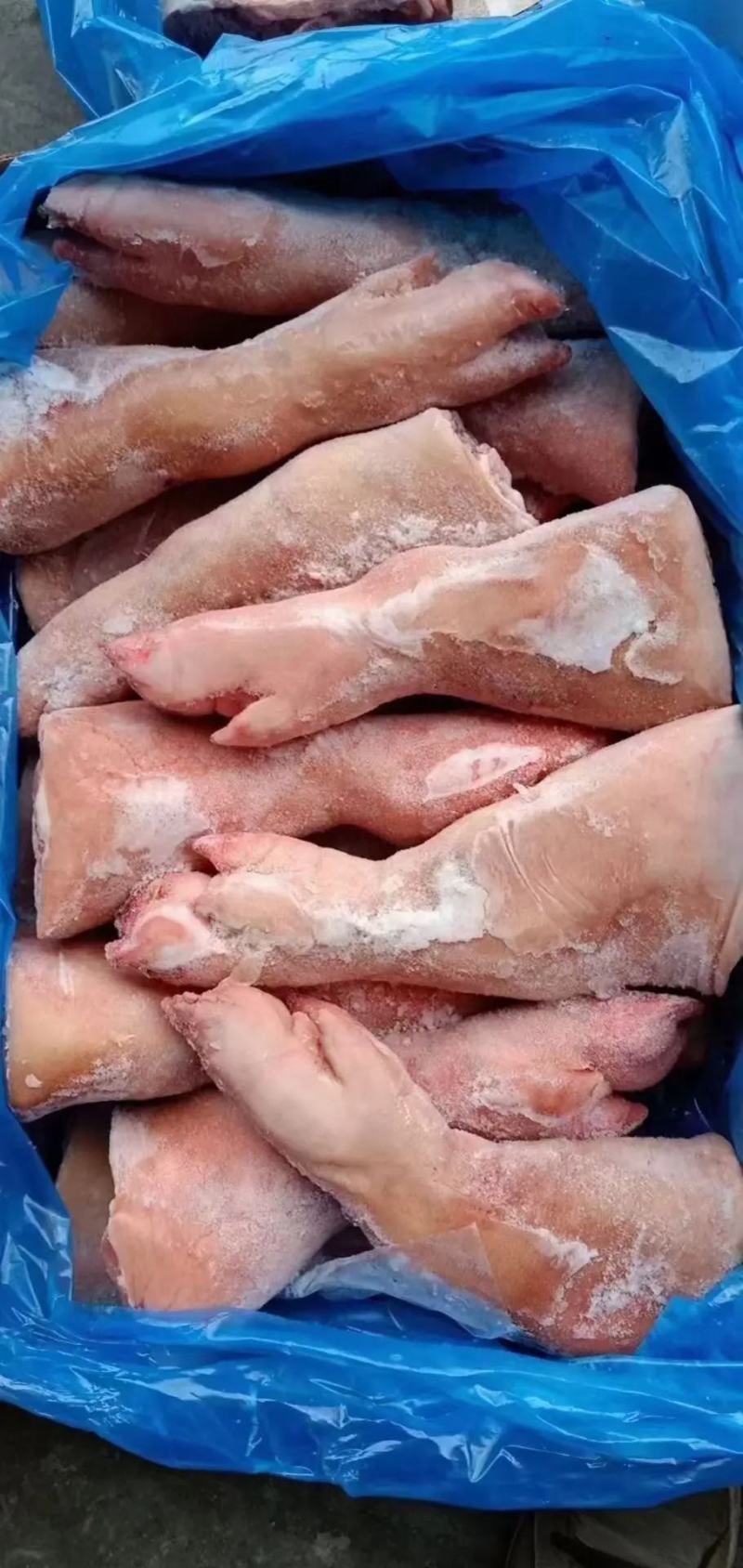 前后手脚踭，精品猪蹄，大量上市规格齐全，欢迎采购合作