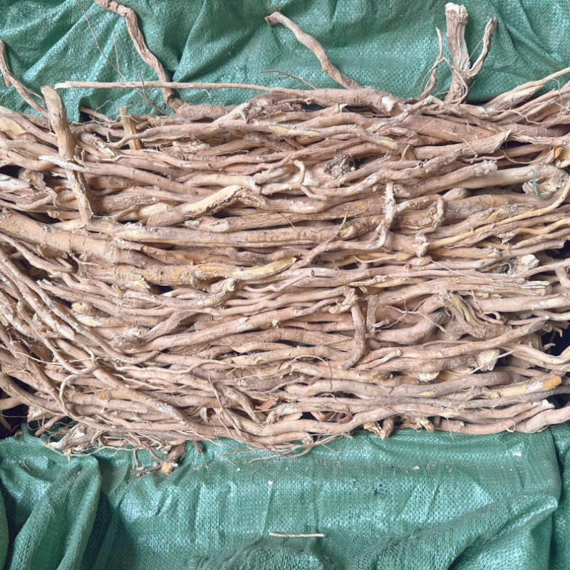 黄花倒水莲吊吊黄云南黄花倒水莲倒吊黄鸡肚子根