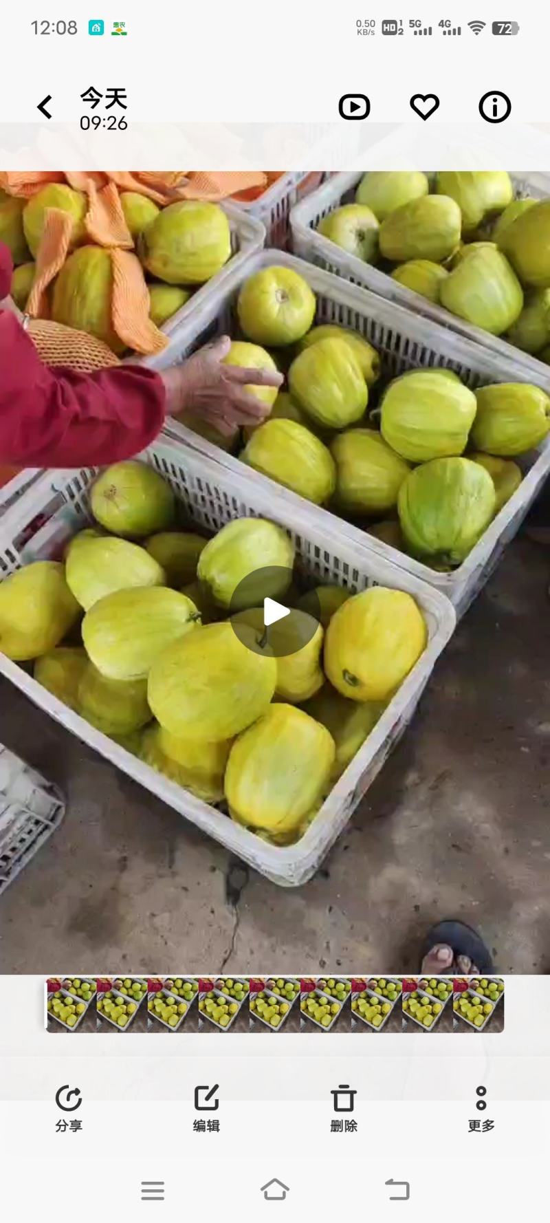 丑八怪香瓜