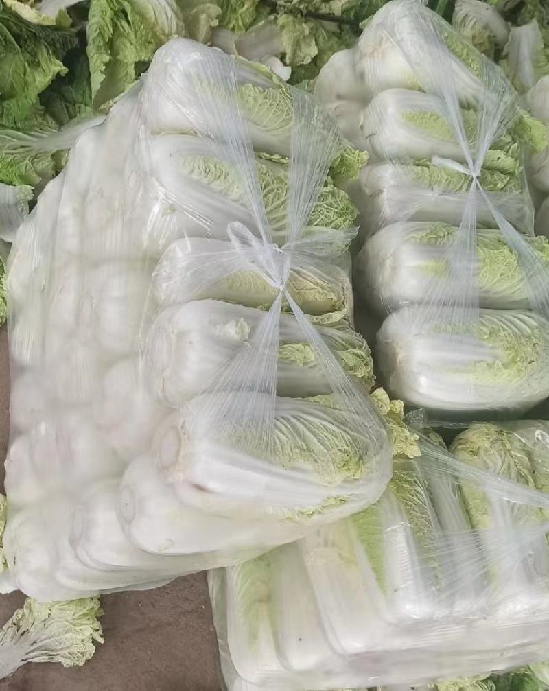 山西省大同市阳高县精品娃娃菜