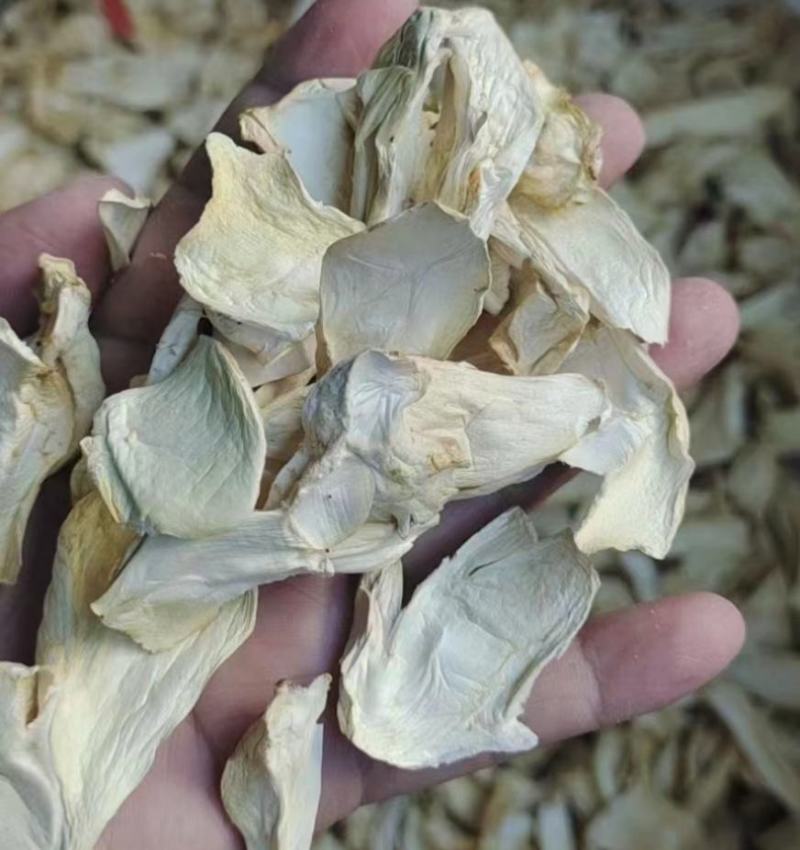 食用菌之都古田食用菌干货批发供应酒店食材素食食材杏鲍菇片