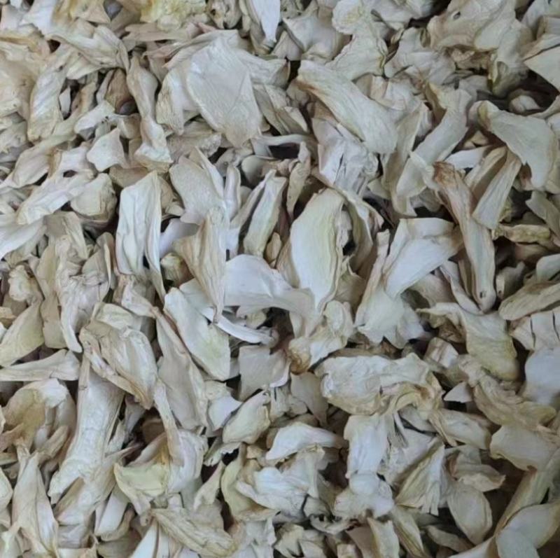 食用菌之都古田食用菌干货批发供应酒店食材素食食材杏鲍菇片