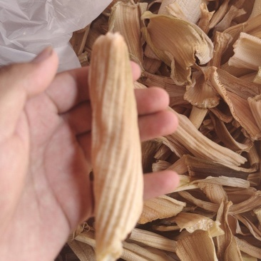 地涌金莲干货，食材半成品适用于各大餐厅