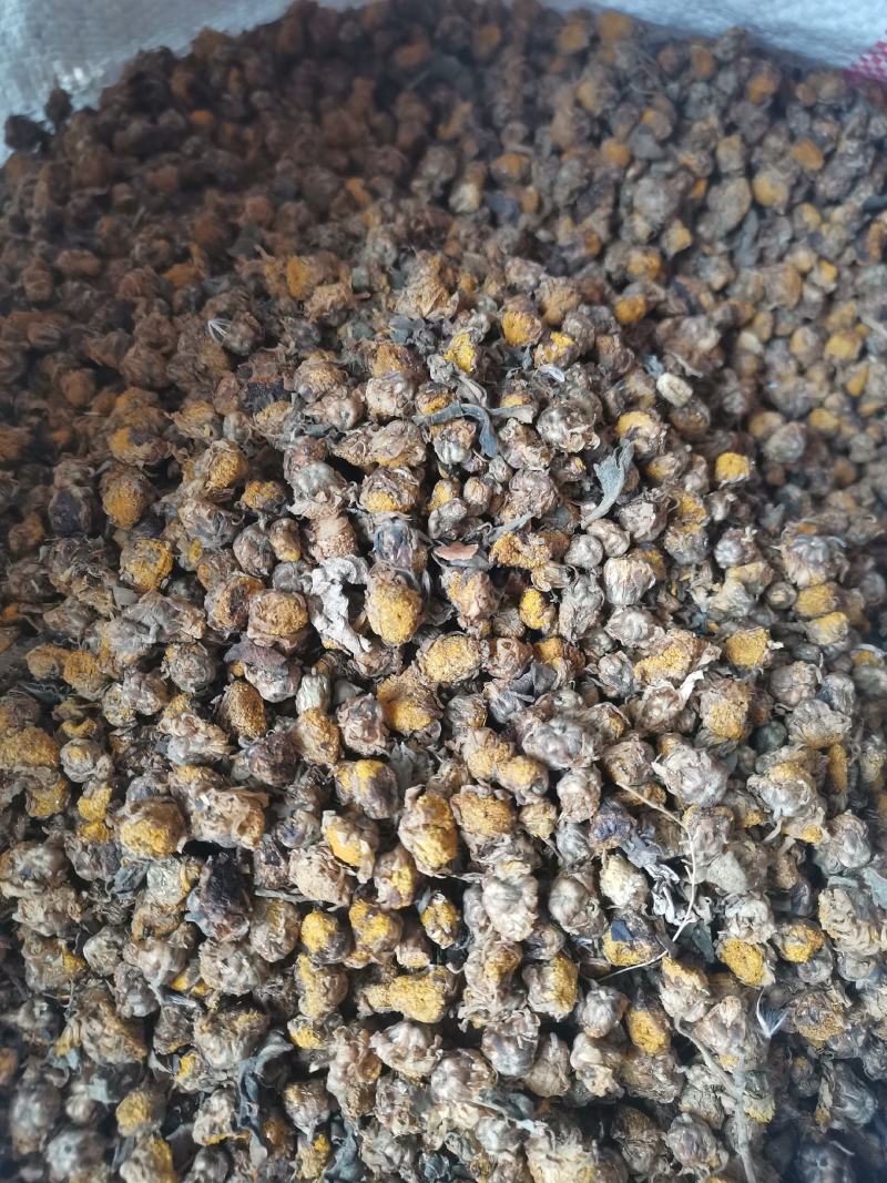 干菊花，清火，不苦，甘香