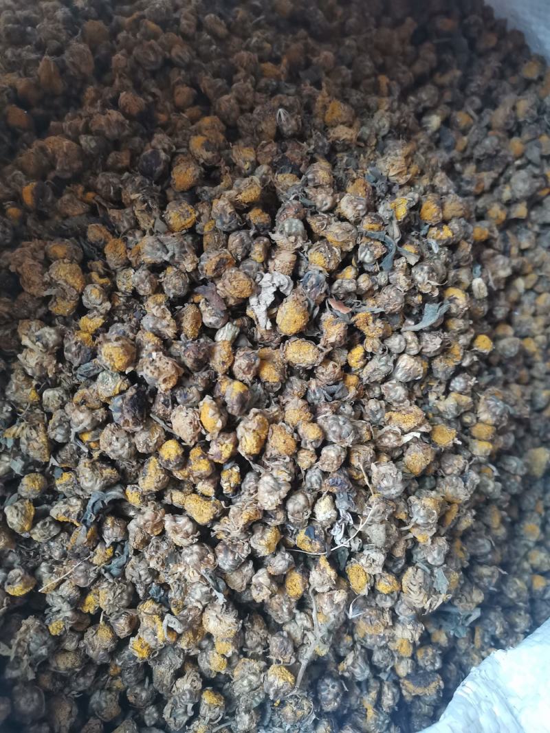 干菊花，清火，不苦，甘香
