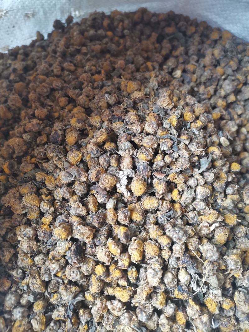 干菊花，清火，不苦，甘香