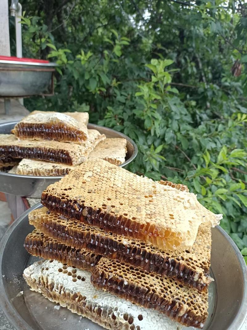 梅州精品野生蜂蜜，蜂巢蜜，品质好量大