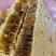 梅州精品野生蜂蜜，蜂巢蜜，品质好量大