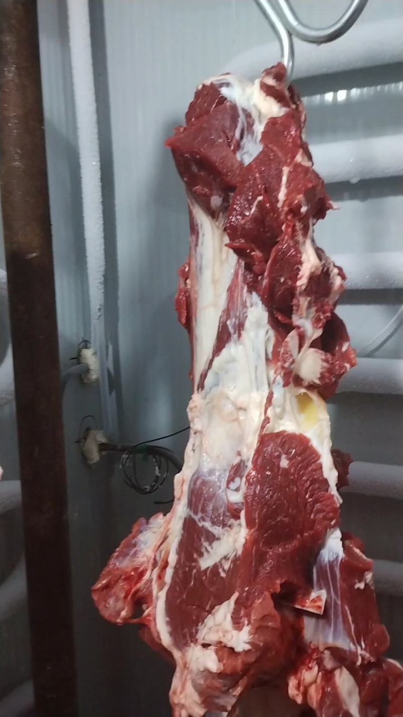 鲜牛肉山东清真国产纯鲜牛肉纯自家货源品质保证诚信经营