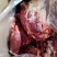 国产鲜冻牛肉纯一手货源品质保证诚信经营欢迎联系一手货